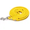 PU Leather Dog Leash Candy Color Cute Puppy Walk Leashes Hook Pet Dogs Supplies Will and Sandy