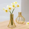 Vaso idroponico da tavolo in vetro nordico per matrimonio in ferro battuto per la casa, oro, soggiorno, decorazione 210310