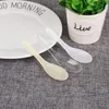 Wholesale Asian Soup Spoons Saimin Ramen Plastic Spoon Outdoor Disposable Spoons Dining Food