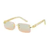 Unisex Geile plastic zonnebrilrandloze met oceaan lenzen Mooie korrelpoten mode mannen en vrouwen luxe bril