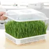 プラスチック水耕植栽トレイ、家庭用エンドウ苗植栽トレイ、豆もやし鍋、園芸用品210615