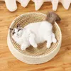 cat house with scratcher