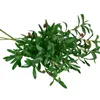 Dekorativa Blommor Kransar Konstgjorda Olive Branch Leaves Simulation Vase Grön Växt Silk Hemlagad Bukett Hem Trädgård Bröllopsdekoration
