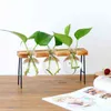 Glass and Wood Vase Planter Terrarium Table Desktop Hydroponics Plant Bonsai Flower Pot Hanging Pots with Wooden Tray Home Decor 211215