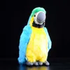 macaw parrot toys