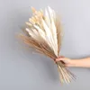 1 Bos Echte Natuurlijke Gedroogde Bloemen Boeket Pampas Gras Gypsophila Planten DIY Thuis Bruiloft Decor Festival Ceremony21256100591