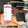 AidMax NanoL Wireless Remote Digital Kitchen Cooking Food Carne Termometro con sonda per BBQ Smoker Grill Forno 210719