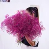 Decorative Flowers & Wreaths Natural Fresh Dried Preserved Gypsophila Paniculata,Baby's Breath Flower Bouquets Gift For Wedding Party Decora