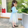 2021 neue Prinzessin Kleider Infant Baby Mädchen Party Kleid Bunte Spitze Pailletten Langarm Knielangen Tutu Kleid Großhandel Heißer q0716