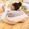 40cm pomyślny początek wypchanych zwierząt shiba inu pluszowe zabawki Anime Corgi Kawaii Pies Soft Pillow Prezenty dla chłopców dziewcząt