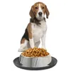 Ze stali nierdzewnej Dog Bowl Pojedynczy podajnik z bezlizgowym odpinanym silikonowym dolnym dole 19.5 cm / 5 cm Zwierzęta Koty Psy Zdrowe BPA-Free