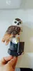 Owl Solar Light With Solar LED Panel Fake Owl Waterproof Solar Garden Lights Owl Ornament Animal Bird Outdoor Yard Garden Lamps250a