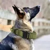 Dog Collars Riemen M / L / XL Duurzame Nylondog Kraag Fijne vakmanschap Accessoires Goed Uiterlijk Huisdier Outdoor Tractie Touw Verkoop
