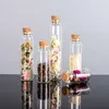 10ML 22X50X12.5MM Bouchons en liège Petites bouteilles en verre DIY Décoration Mini Potion Bouteilles Faveurs, Souhaitant Bouteilles, Message Bocaux En Verre Flacon Liège