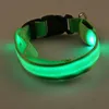 Dog Collars Smycze 1 sztuk LED Collar Noc Bezpieczeństwo Miga Glow W Dark Leash Dogs Puppy Fajne Produkty Pet Produkty Akcesoria