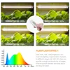 Grow Lights Intérieur Phytolamp Pour Orchidées Plantes Minuterie Lumière Bandes Phyto Lampe Semis Maison Spectre Complet 5V Blanc LED BarsGrow