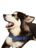 Arnés para perros con tela de malla, clip de metal, chaleco de ajuste rápido, cómodo, sin tirones, ajustable para perros pequeños, medianos y grandes 211006