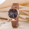 Brand Women Girl color Metal steel band Magnetic buckle style quartz wrist watch Di03