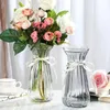 Transparent Glass Vases Living Room Decor Modern Flower Vase Terrarium Nordic Home Decoration