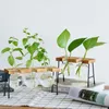 Vaser glas vase hydroponic växt träram kaffebutik dekor terrarium växter hem bonsai dekoration propagation station