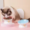 angled cat bowl
