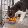 Ciotola per cani e gatti in acciaio inossidabile Gabbia sospesa per alimenti Ciotole per acqua Canile Coop Tazza Ciotola per alimentazione per cucciolo di uccello Coniglio Gattino 228C3