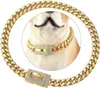 Coleira de cachorro com fivela de diamante, colar de aço inoxidável dourado para animais de estimação 10mm 14mm colar dourado de cristal jk56