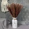 15 Uds 5060cm Pampas hierba flor seca caña decoración de boda heno otoño decoración del hogar ramo Natural 221K4256103