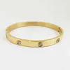 Sollls Steel Fine Jewelry Bangle Zircon Inlay 18K Gold Bangle Bracelet Mulheres