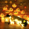 1.5m 10 Lights Halloween String Light LED Pumpkin Bat ghost Lighting Garland for Horror HalloweenDay Holiday Home and Outdoor Decor D1.5