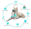 Corde chien jouet balles interactif animaux dents nettoyage jouets grinçant remorqueur jouet pour chiens multifonction Puzzle brosse à dents