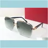 Fashion Aessories Cart Ct8200981 Top Original High Quality Designer Sunglasses For Mens Womens Selling World Famous Classic Retro Super Luxu