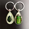 Nouveau porte-clés insecte artificiel lumineux véritable insecte résine spécimen porte-clés pendentif G1019