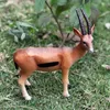 Oenux Farm Animals Simulation Alpaca Lamb Sheep Goat Model Action Figure Figurines PVC Miniature Educational Cute Toy For Kid C0220