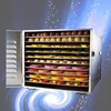 Stainless Steel Fruit Vegetable Food Air Dryer Dehydration flower Pet Snacks Electric Drying Machine 10 Layers 220v 110V
