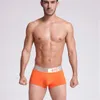 Vente chaude Designers Hommes Boxers Slip Coton Hommes Sexy Sous-Vêtements Shorts De Luxe Lettre Imprimer Homme Bref Boxer UnderPanties