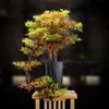 Decoratieve objecten Beeldjes Woonkamer Simulatie Plant Bonsai Indoor Welcome Pine Green PotTed Fake Tree Woondecoratie Ornamenten