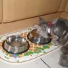 ステンレス鋼の犬の猫のボール滑り止め丈夫な屋外の食糧フィーダーウォーターボウル