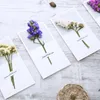 Getrocknete Blumen-Grußkarten, Gypsophil-Blumen, handgeschriebener Segen, Geburtstag, Weihnachten, Hochzeit, Party, Einladungskarten