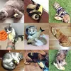 Catnip Toys Моделирование рыб Форма Реалистичные Пушистые Catnip Кукла Интерактивные Домашние животные Подушки Желтение Укус Принадлежности для кошек Котенок Китти