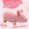 Creative fun pull pig dog toys students in class relieve pressure vent pink pinch1382957