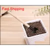 Diğer bahçe malzemeleri 3pcs/set mini taşınabilir bahçecilik aracı ahşap saplı metal kafa kürek tırmık bonsai araçları fl qylifc spor2010