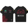 2022 F1 T-shirt Formula 1 Racing Polo Shirt Motorsport Team Uniform Oversized T-shirts Fashion Harajuku Mens Womens F1310x