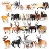 Realistisch wild dier kudu, antilope waterbuck, merino schapen, geit, eland, oryx model figuren educatieve collector beeldje kinderen speelgoed C0220