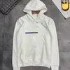 artı boyutu kadın kazak hoodies