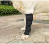 HUND HIND BENGACE CANIN Bakre hock stöd för ledskada och sprain skydd, sårläkning och förlust av stabilitet från artrit svart