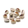 50PCSlot Naturlig Små Sea Conch Shape Shell DIY Smycken Hitta tillbehör Tillbehör Snäckskal Halsband Armband Wmtuje T8KYW Bead 2085 V2