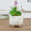 Cartoon Zwierząt Doniczka Kwiatowa Pot Soczyste Pot Home Decoration Craft Decoration 210615