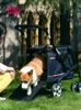犬の車の座席はペットカートの携帯用折りたたみ式中媒体の小さな大きさと猫をカバーします