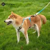 Cão de nylon ajustável Arnês de moda colete no peito sem puxar pet puppy chicote para pequenos médios grandes cães Corgi cão suprimentos 210712